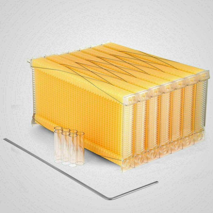 Neweast 7Pcs Flow Bee Comb Hive Frames For Wooden Beekeeping Beehive House