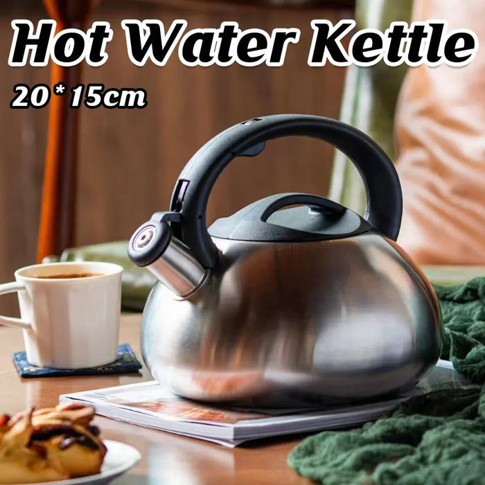 Stainless Steel Whistling Kettle 3L Matte Silver Stove Top Induction Gas Teapot