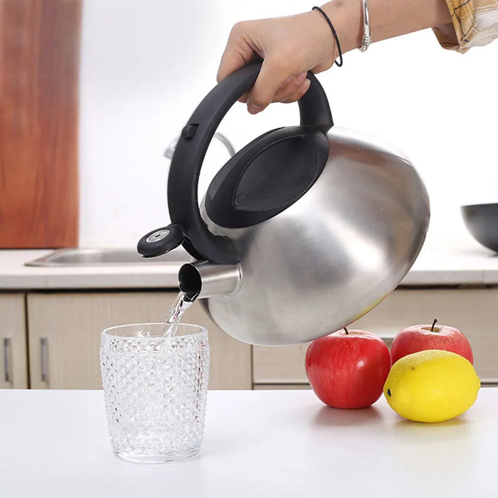Stainless Steel Whistling Kettle 3L Matte Silver Stove Top Induction Gas Teapot