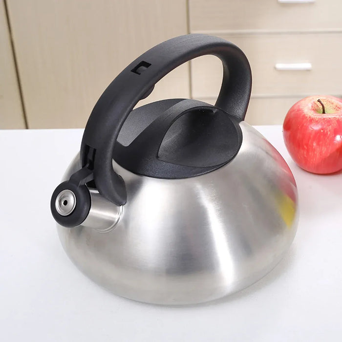 Stainless Steel Whistling Kettle 3L Matte Silver Stove Top Induction Gas Teapot