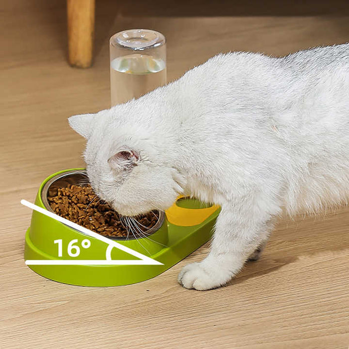 Blue Pet Bowl Set with Automatic Gravity Water Dispenser - Stainless Steel & PP Feeder Station