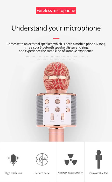 Rose red Bluetooth 5.0 Karaoke Microphone for Family Entertainment
